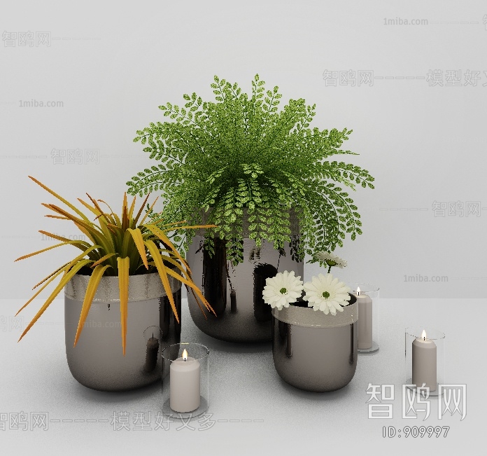 Modern Potted Green Plant