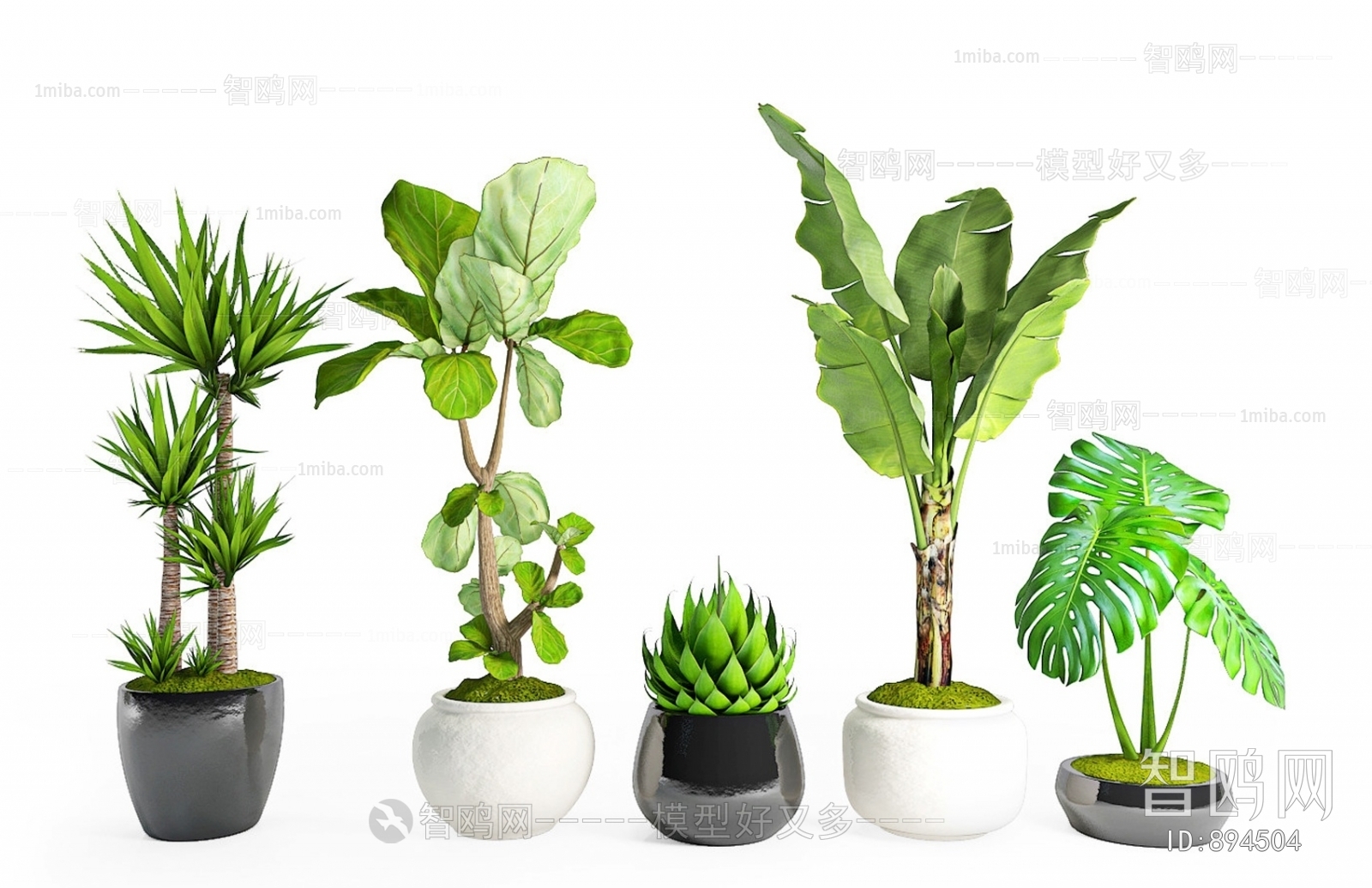 Modern Potted Green Plant