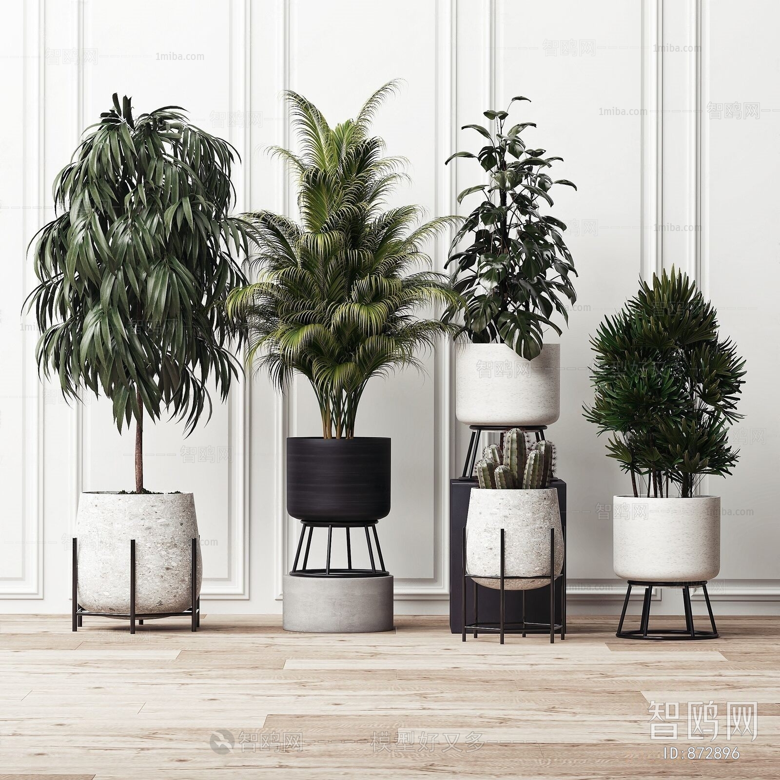 Modern Potted Green Plant