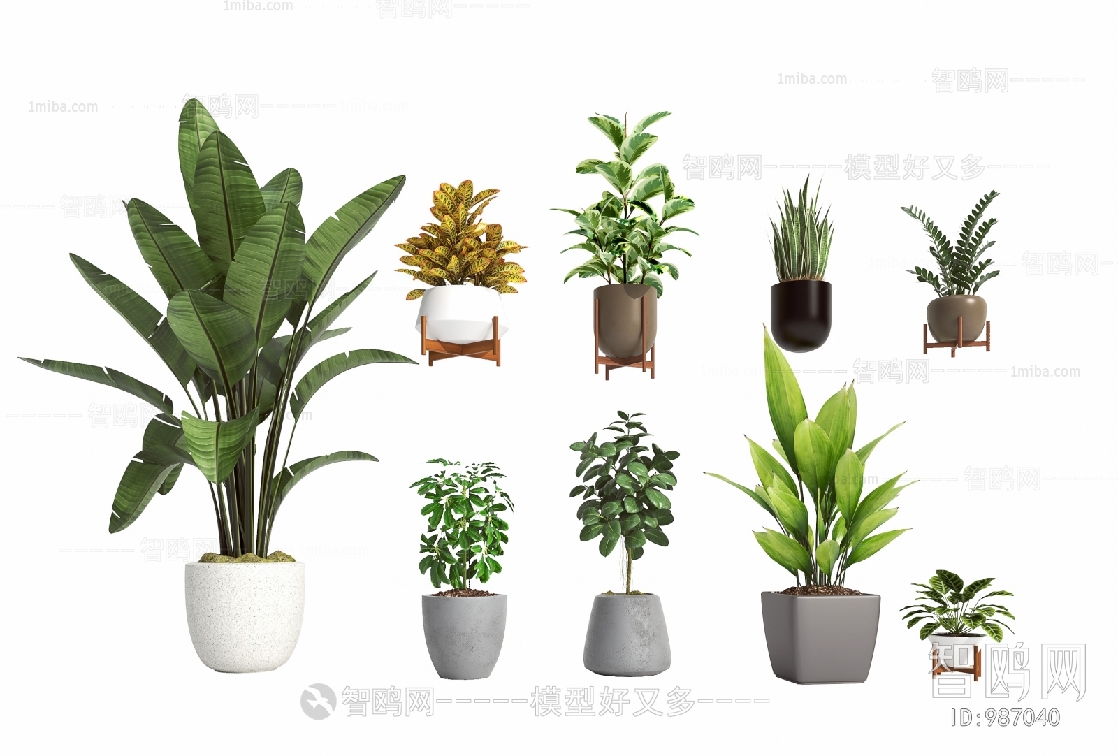 Modern Potted Green Plant