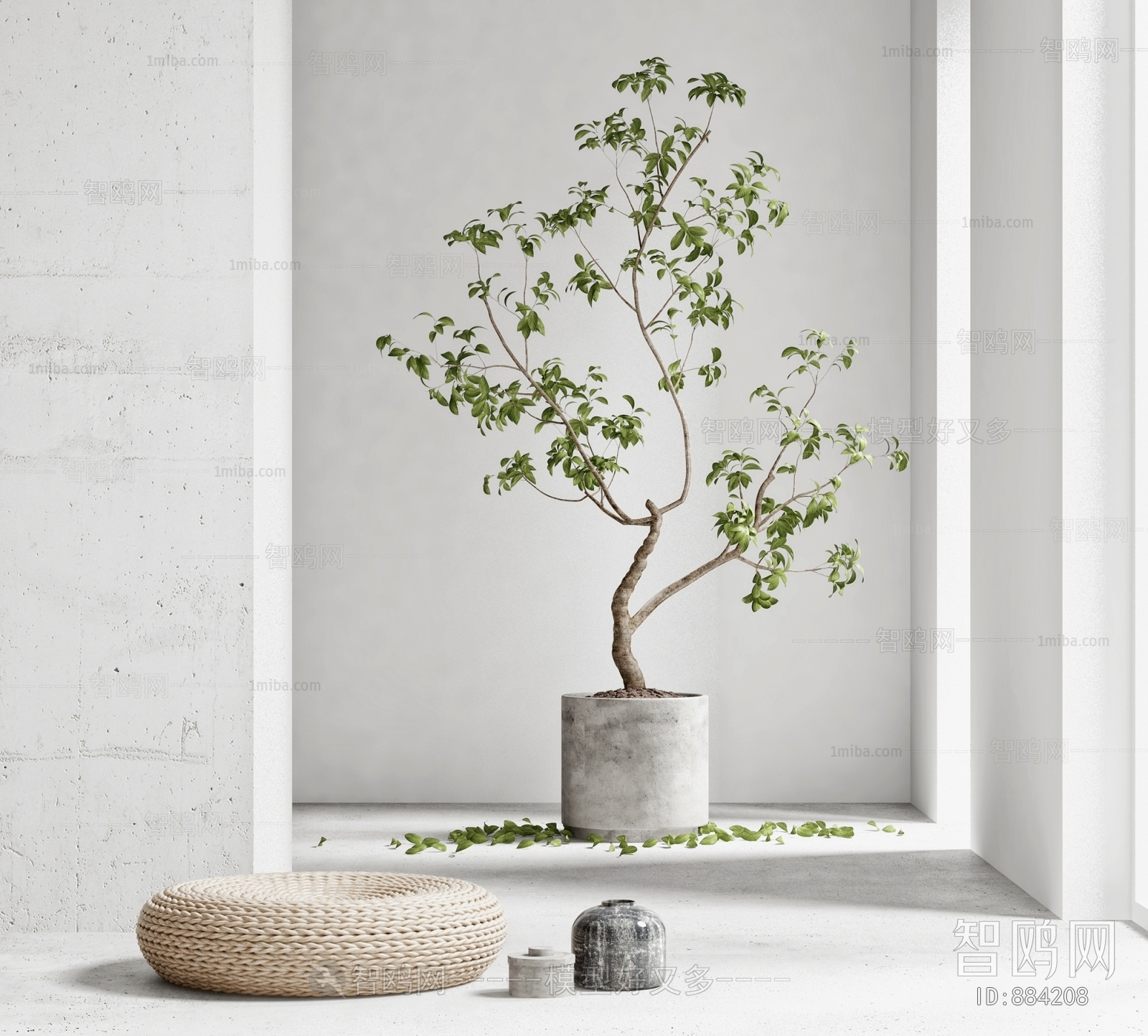 Modern Potted Green Plant