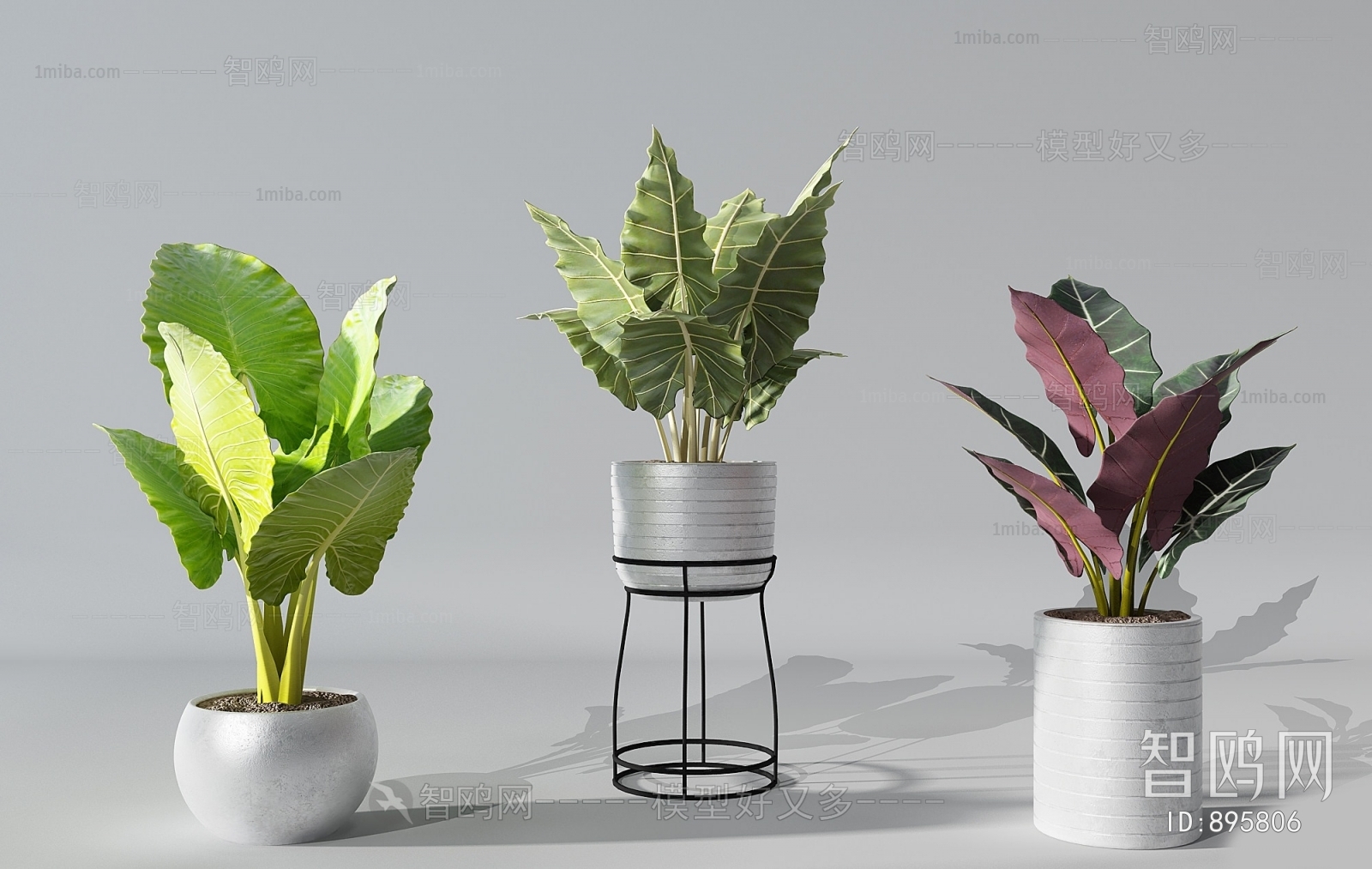 Modern Potted Green Plant