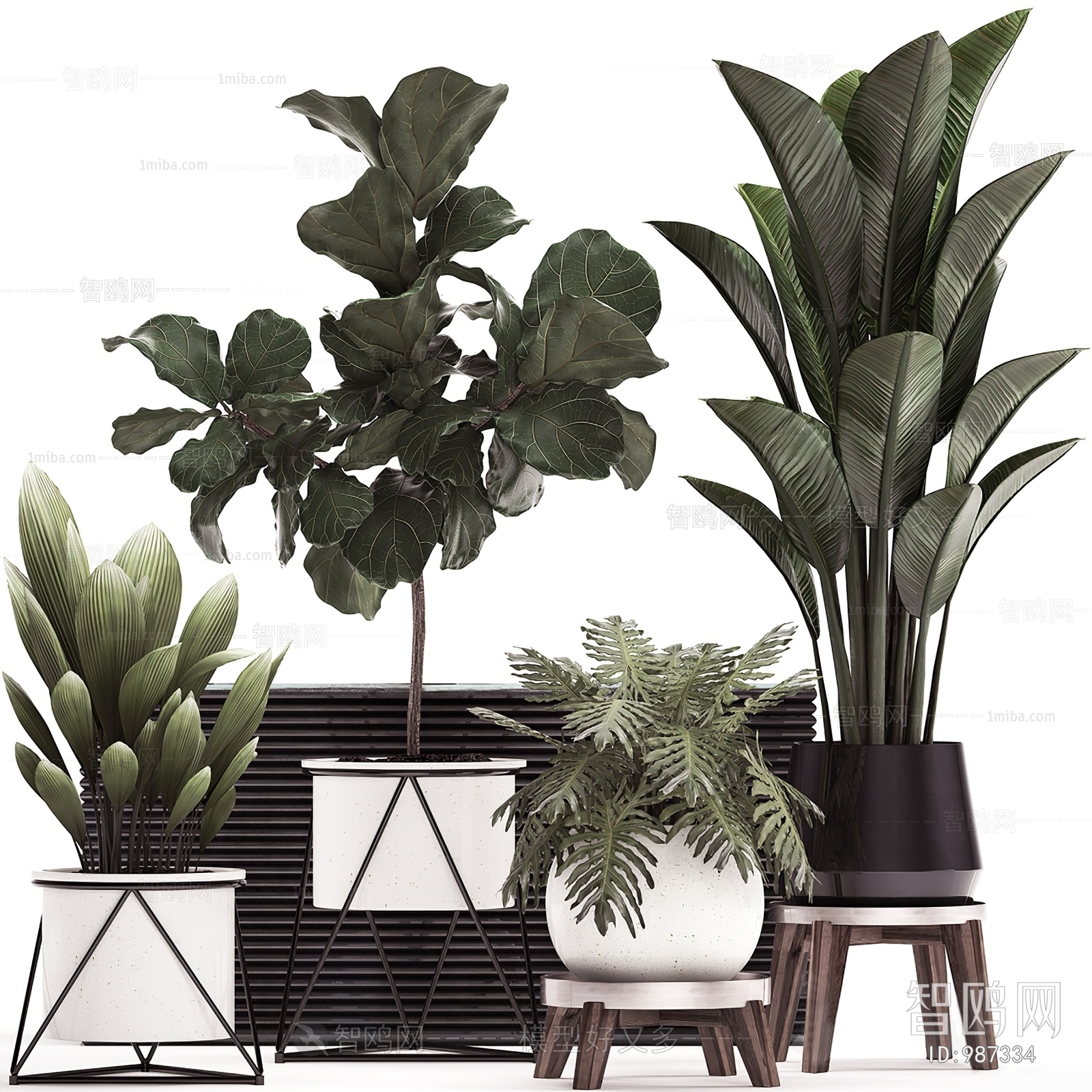 Modern Potted Green Plant