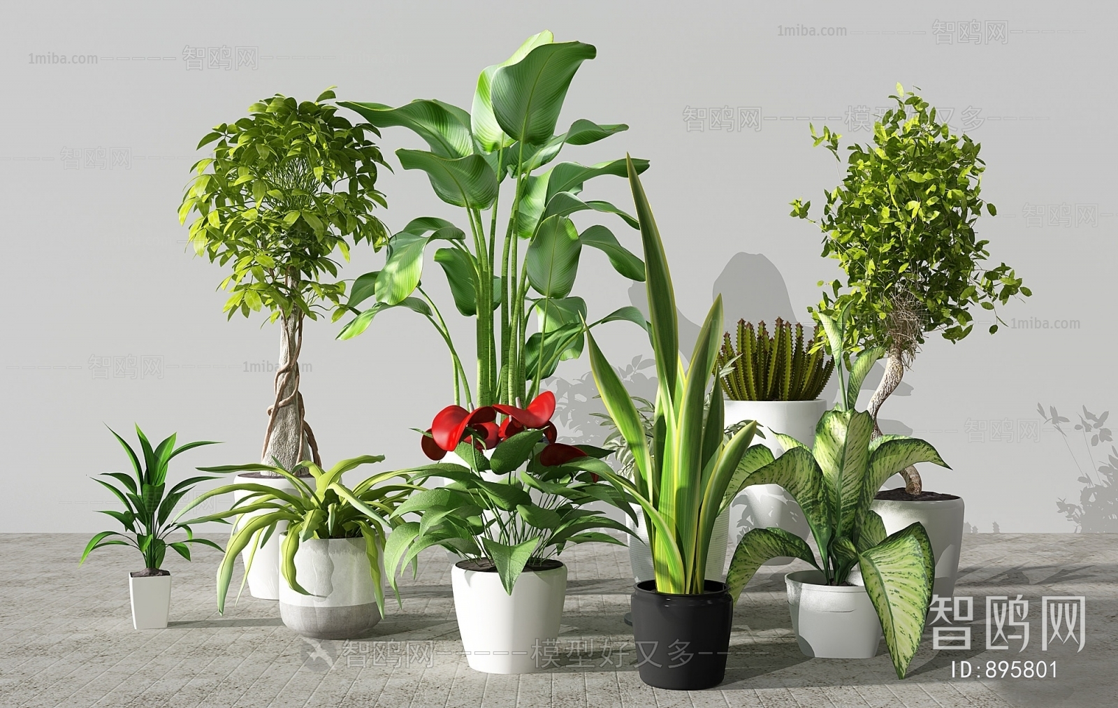 Modern Potted Green Plant