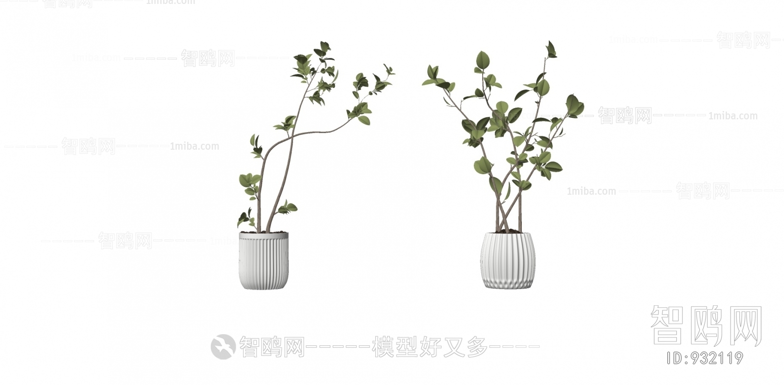 现代绿植盆栽