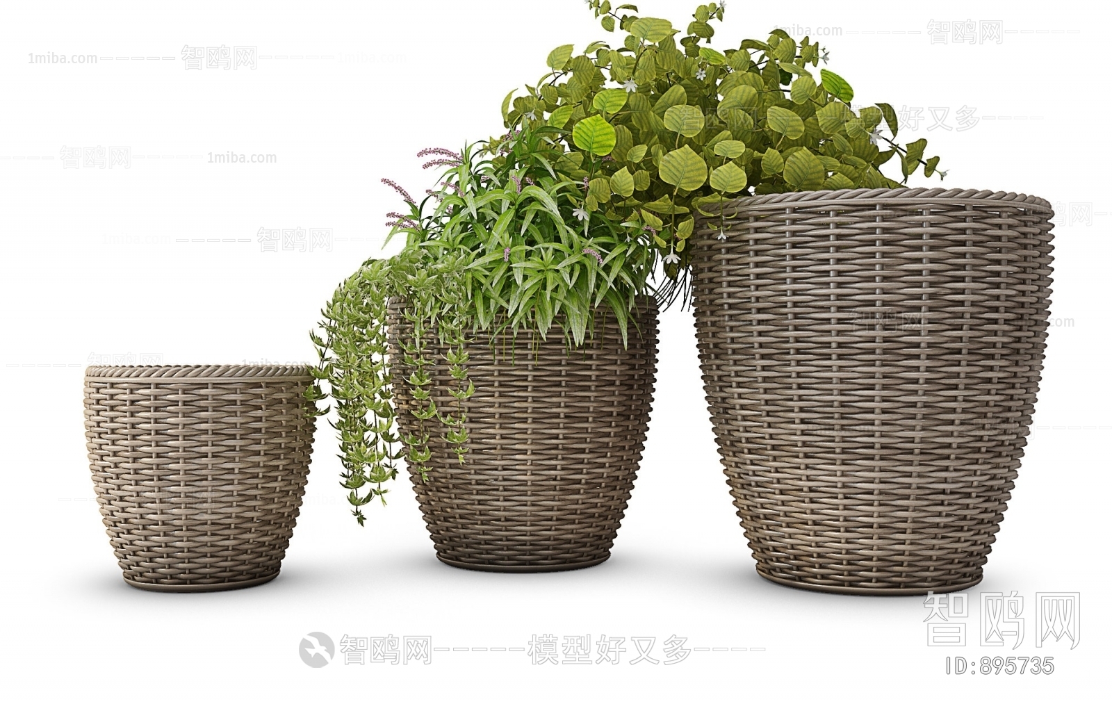 Modern Potted Green Plant