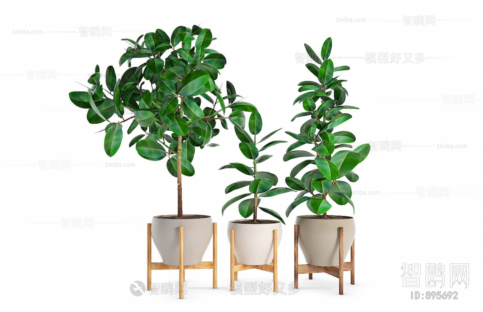 Modern Potted Green Plant