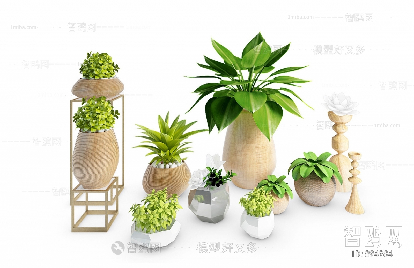 Modern Potted Green Plant