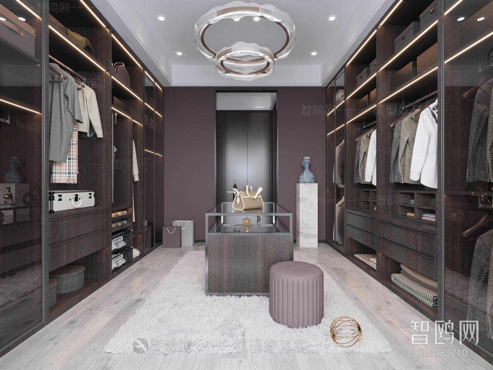 Modern Clothes Storage Area