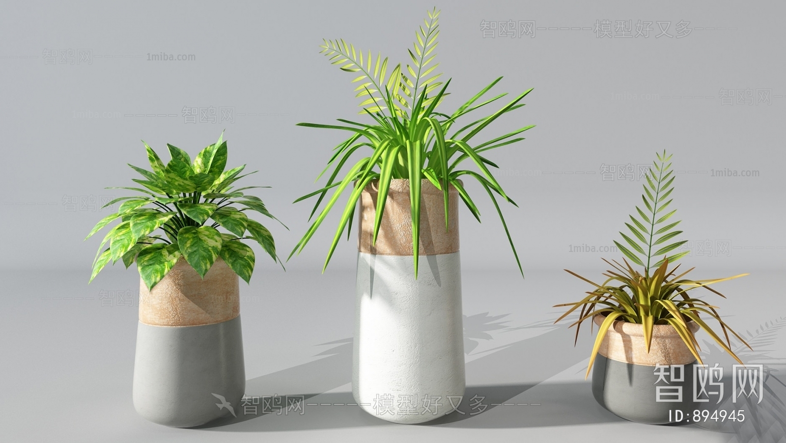 Modern Potted Green Plant