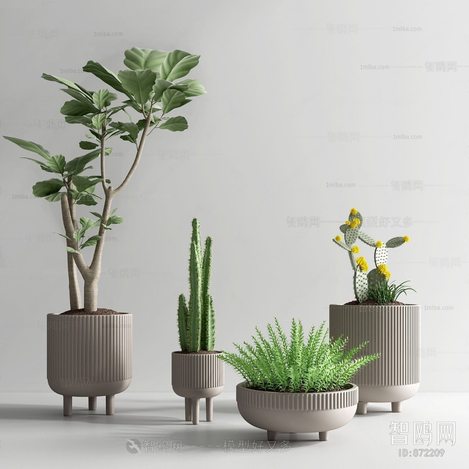 Modern Potted Green Plant