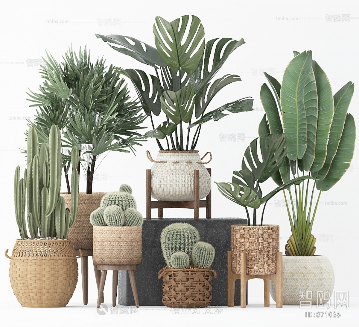 Nordic Style Potted Green Plant