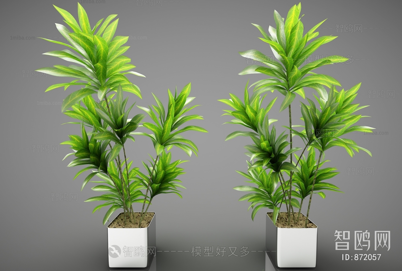 Modern Potted Green Plant