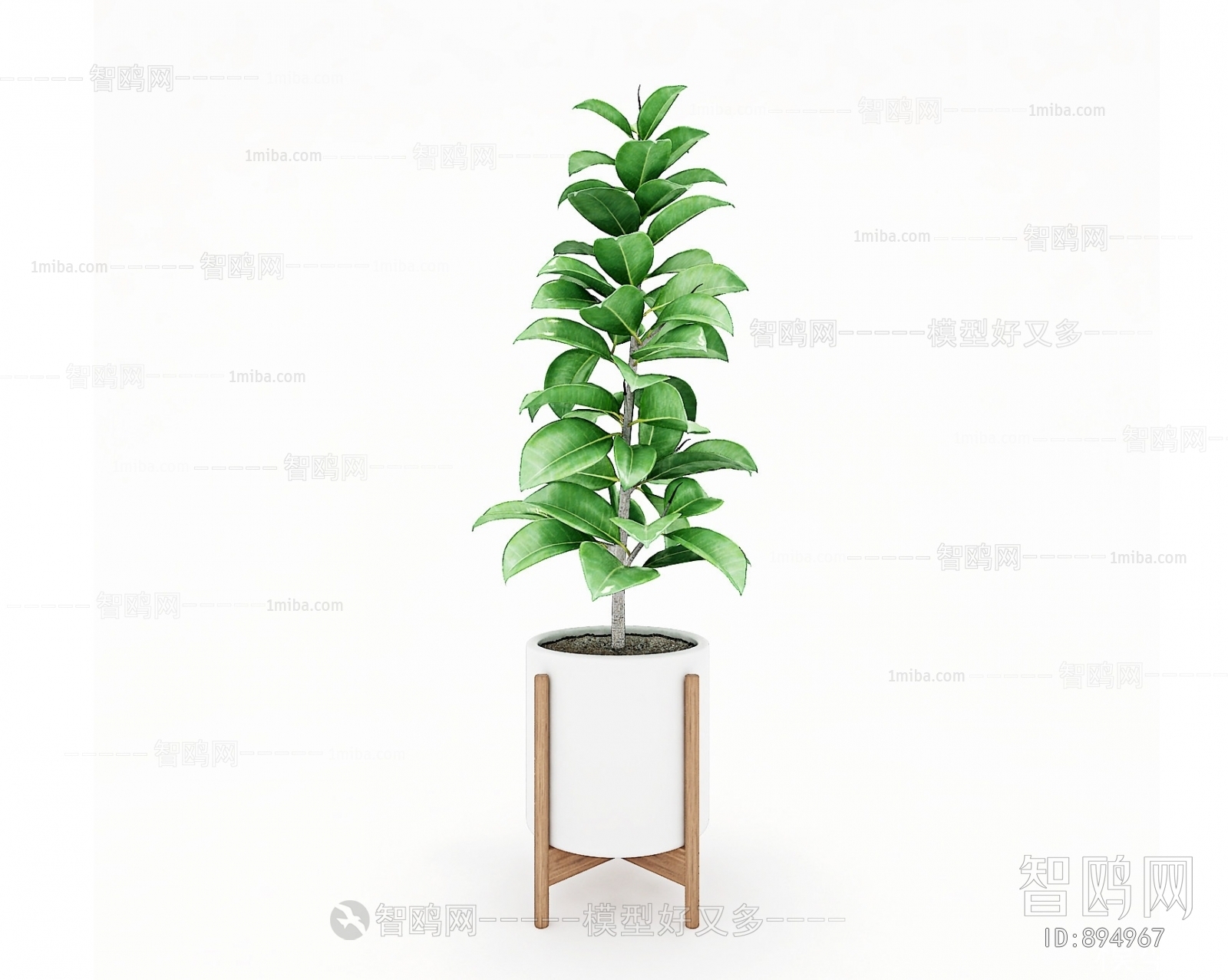 Modern Potted Green Plant