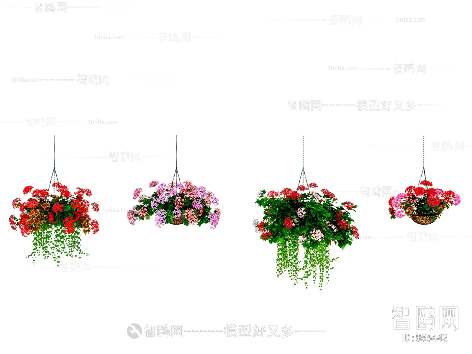 Modern Chlorophytum Comosum