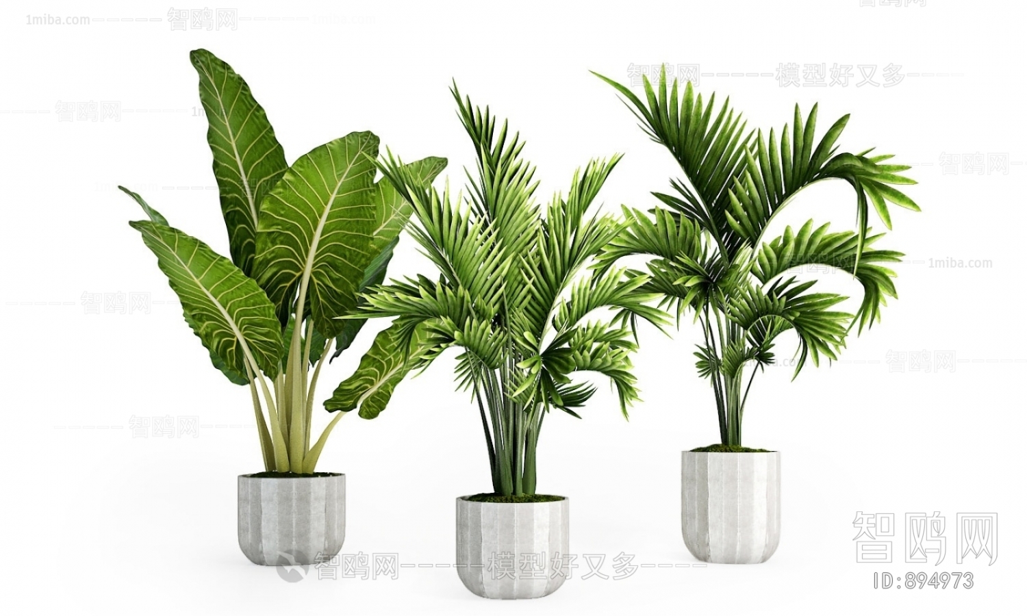 Modern Potted Green Plant