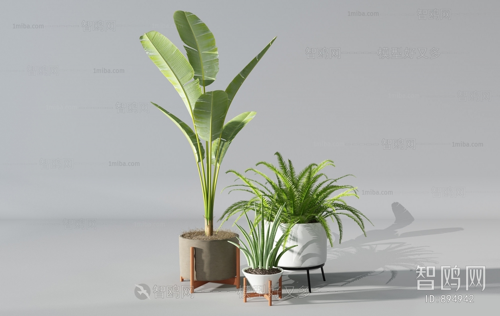 Modern Potted Green Plant