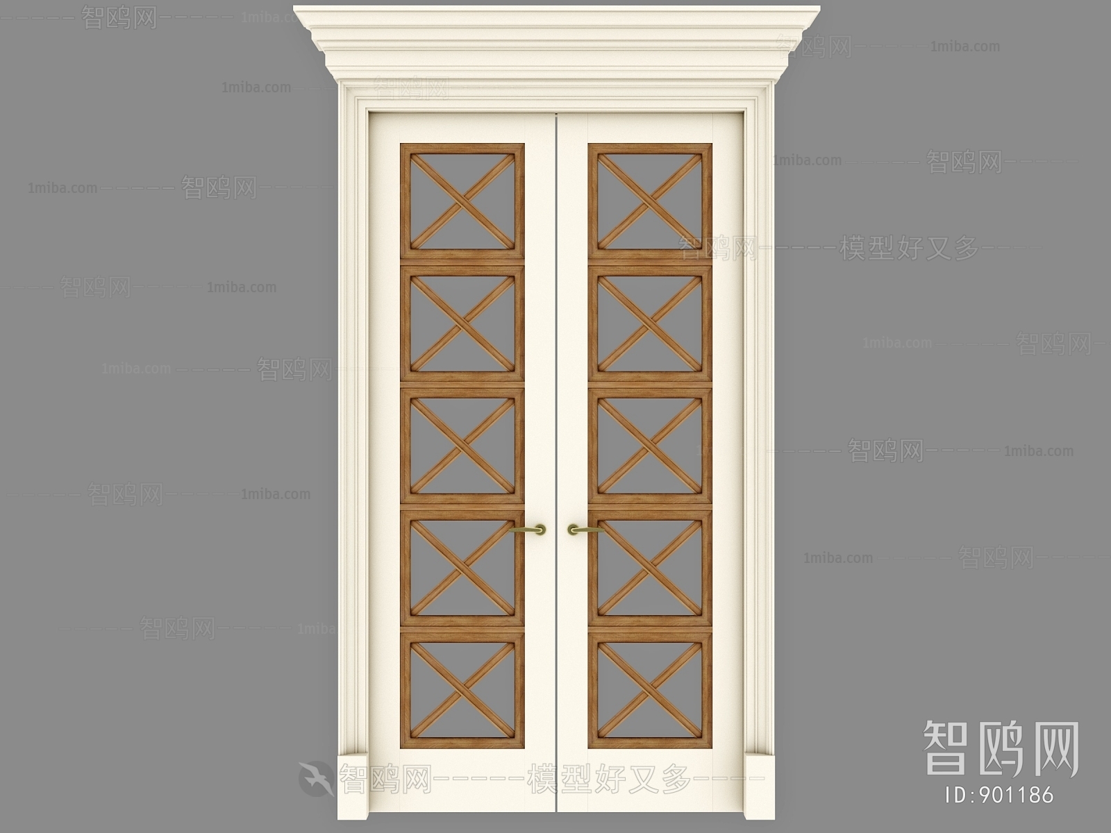 Modern Door