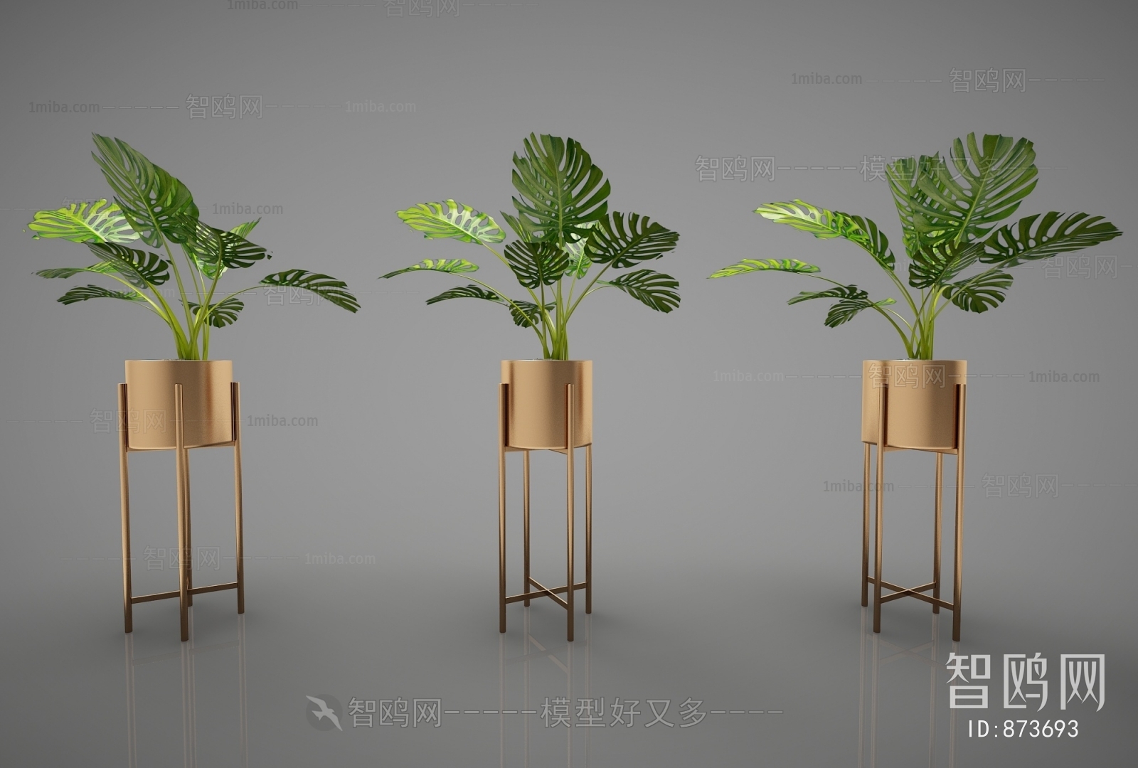 Modern Potted Green Plant