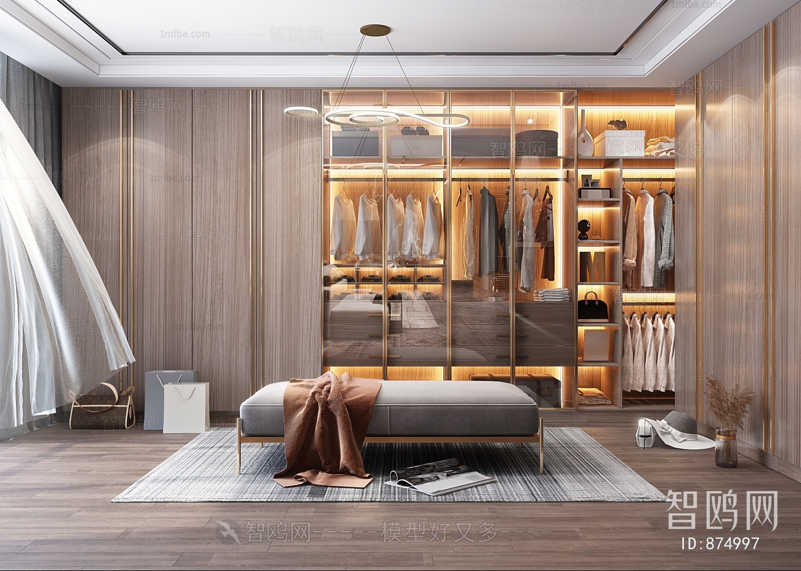 Modern Clothes Storage Area