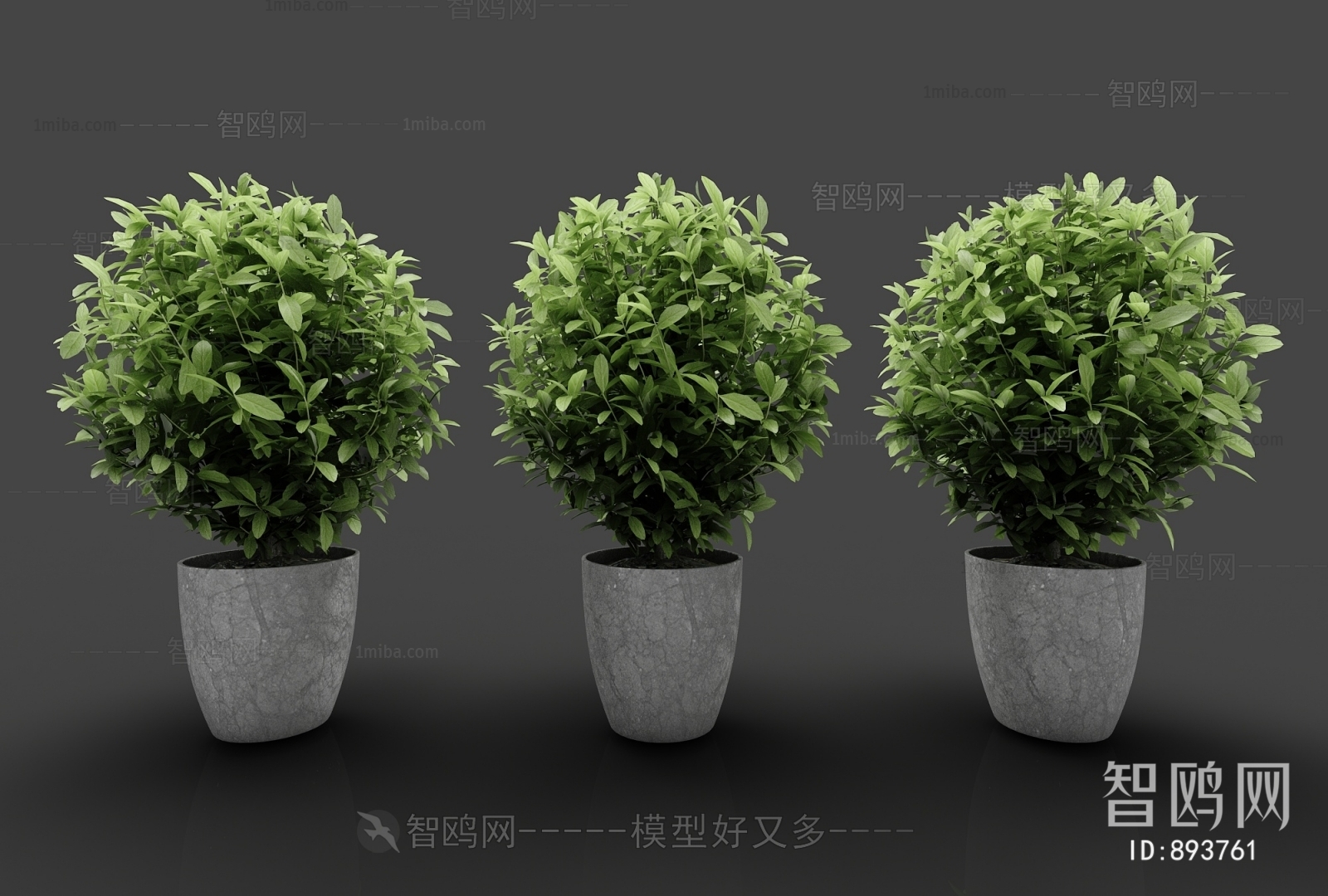 Modern Potted Green Plant