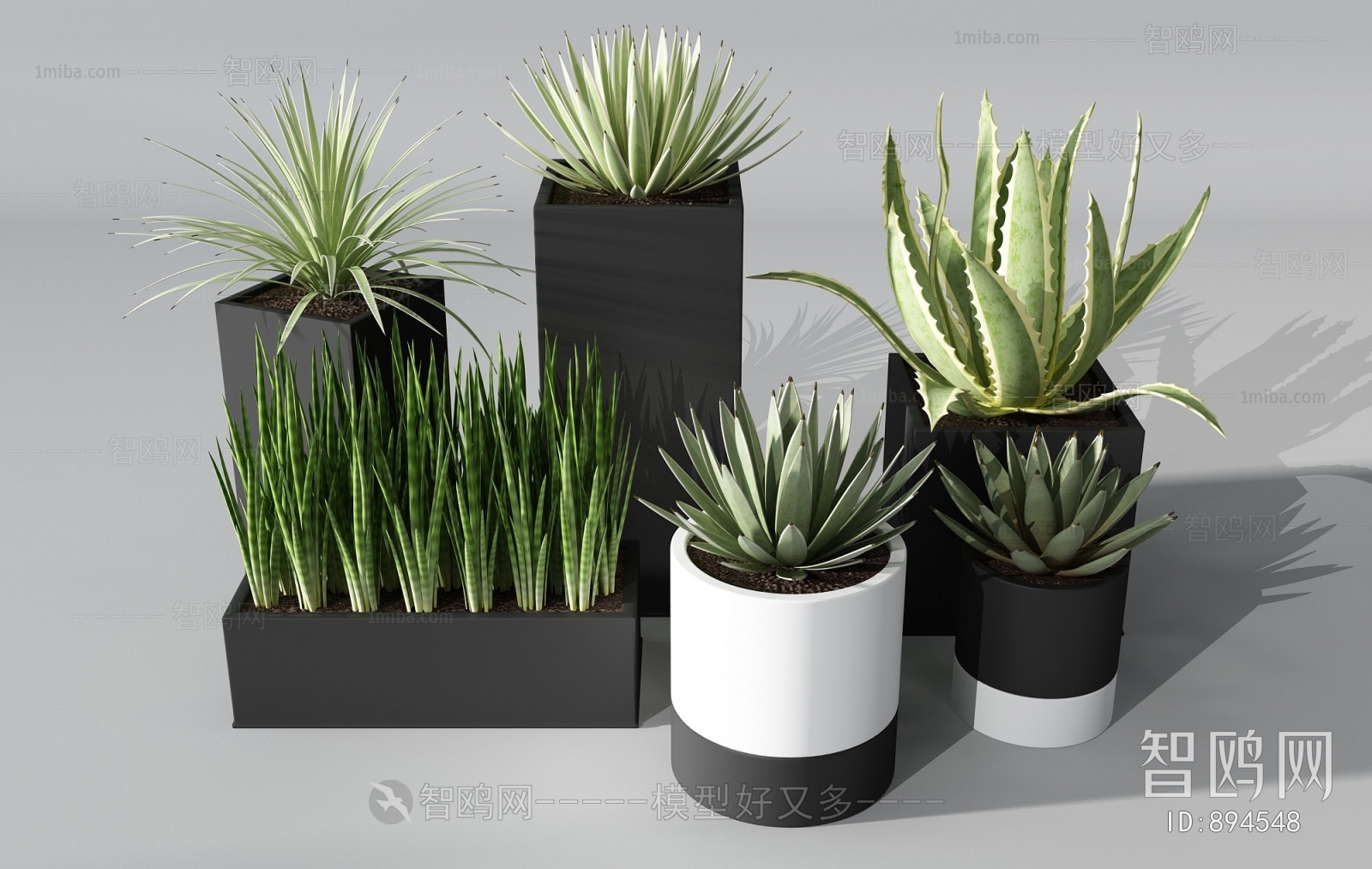 Modern Potted Green Plant