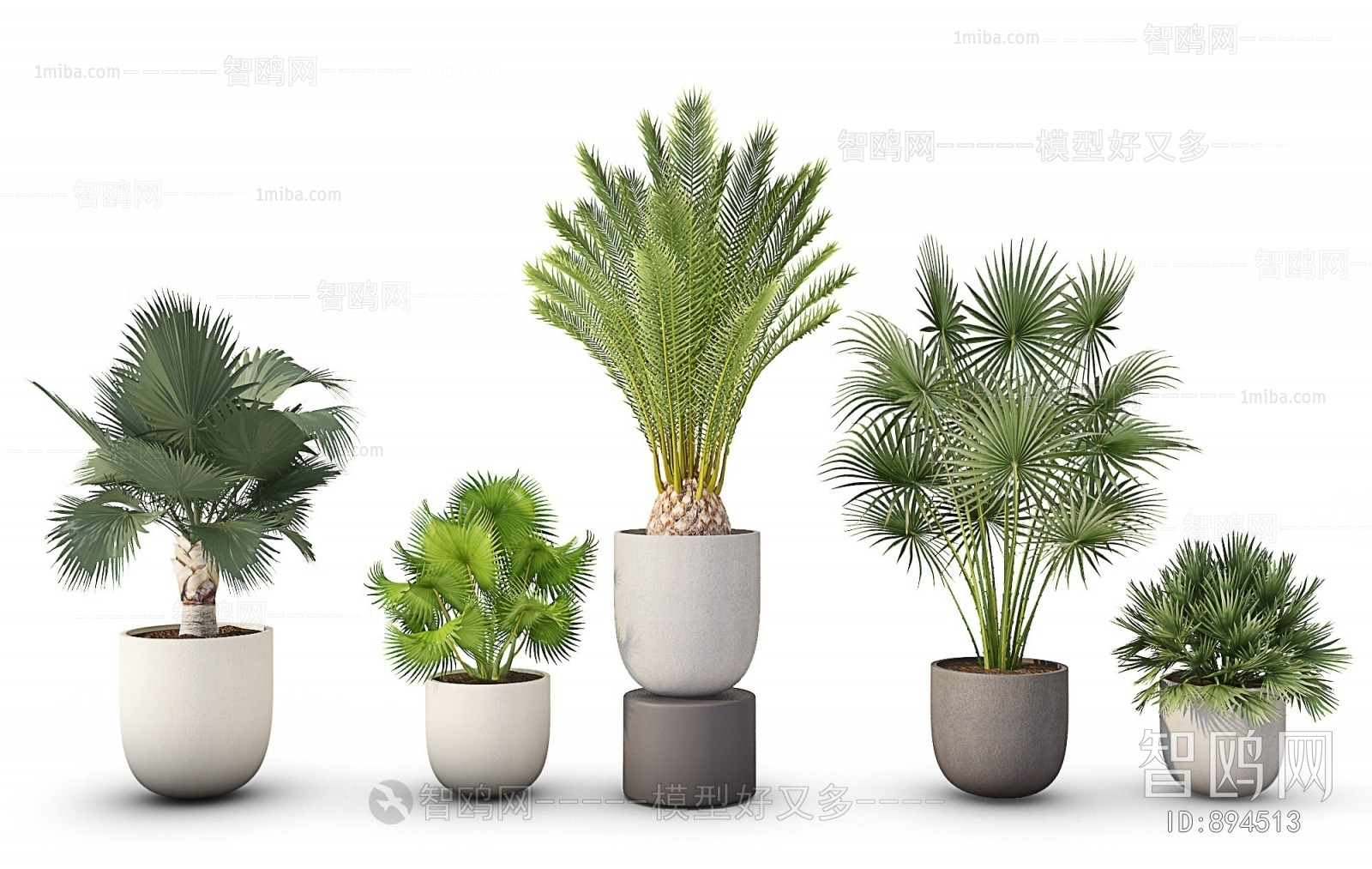 Modern Potted Green Plant