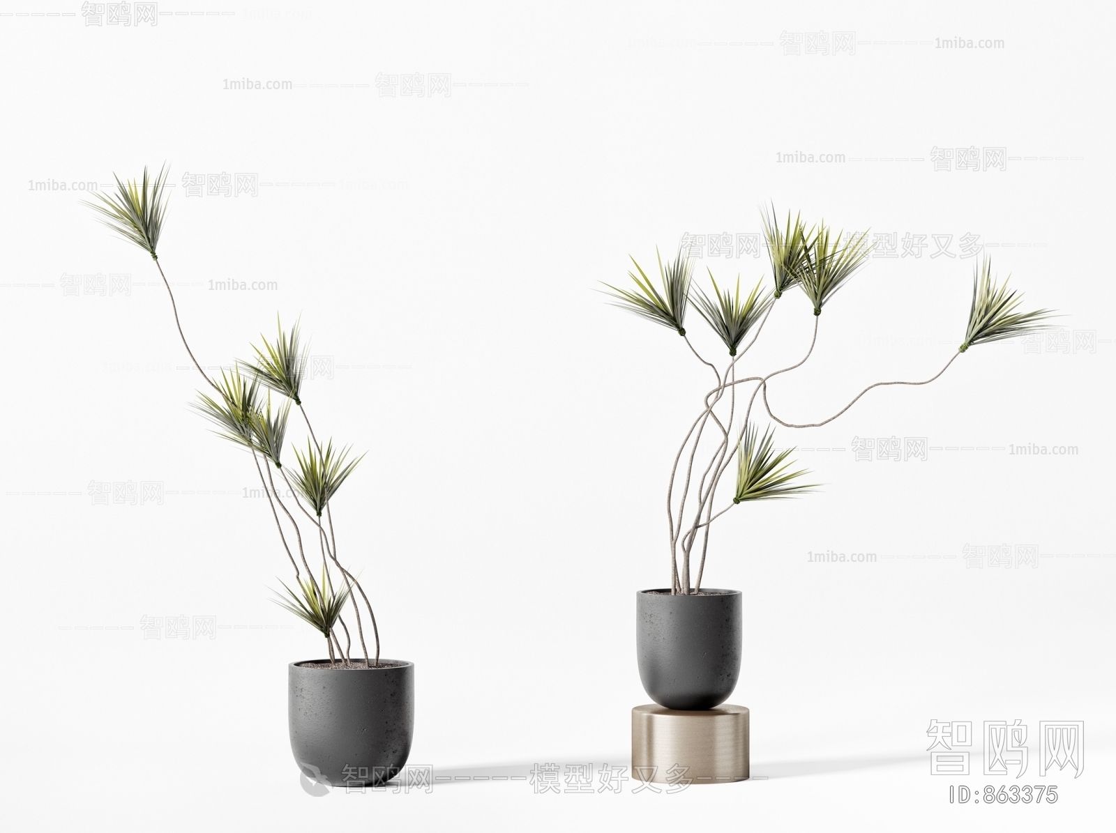 Modern Potted Green Plant