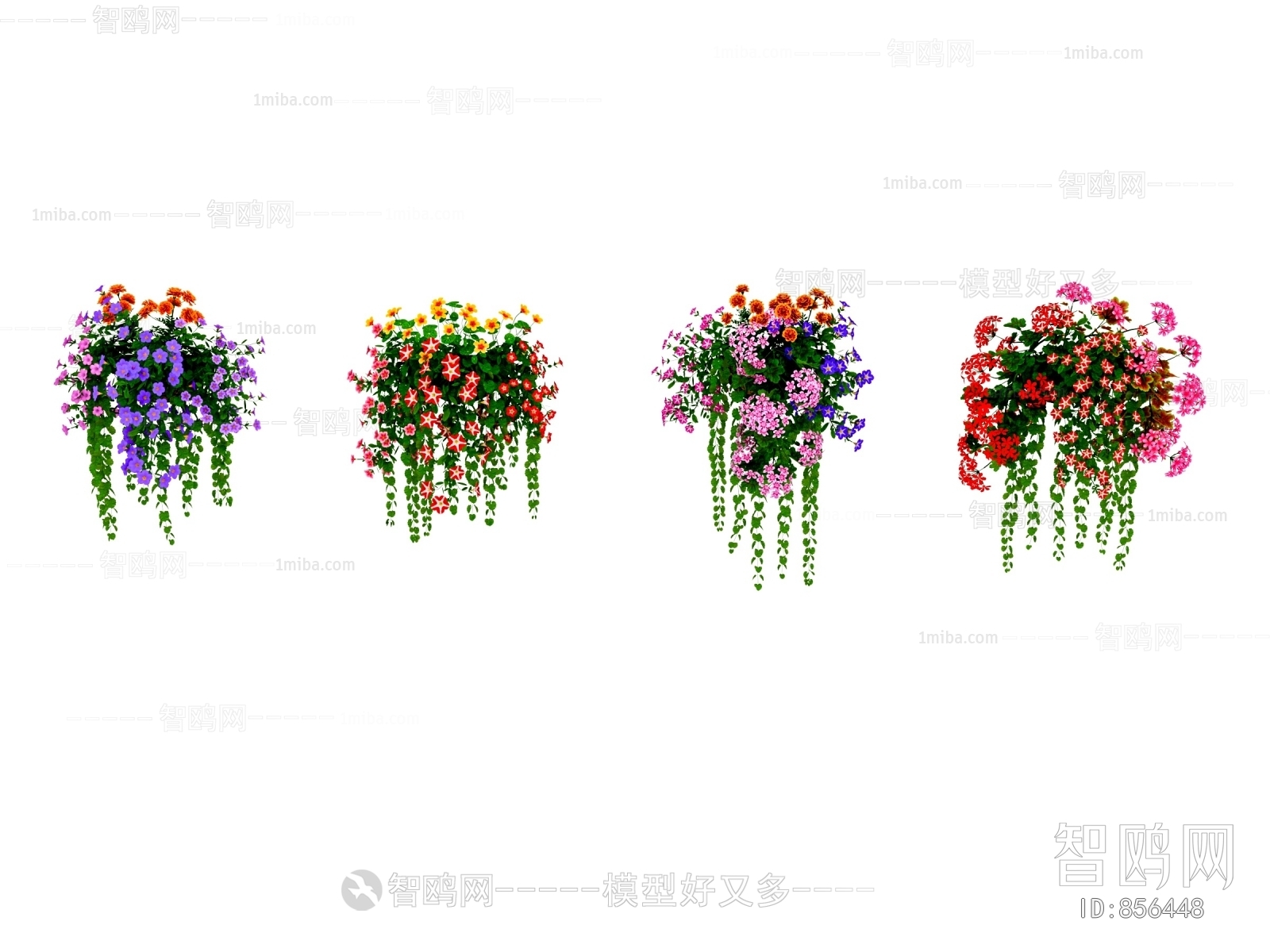 Modern Chlorophytum Comosum