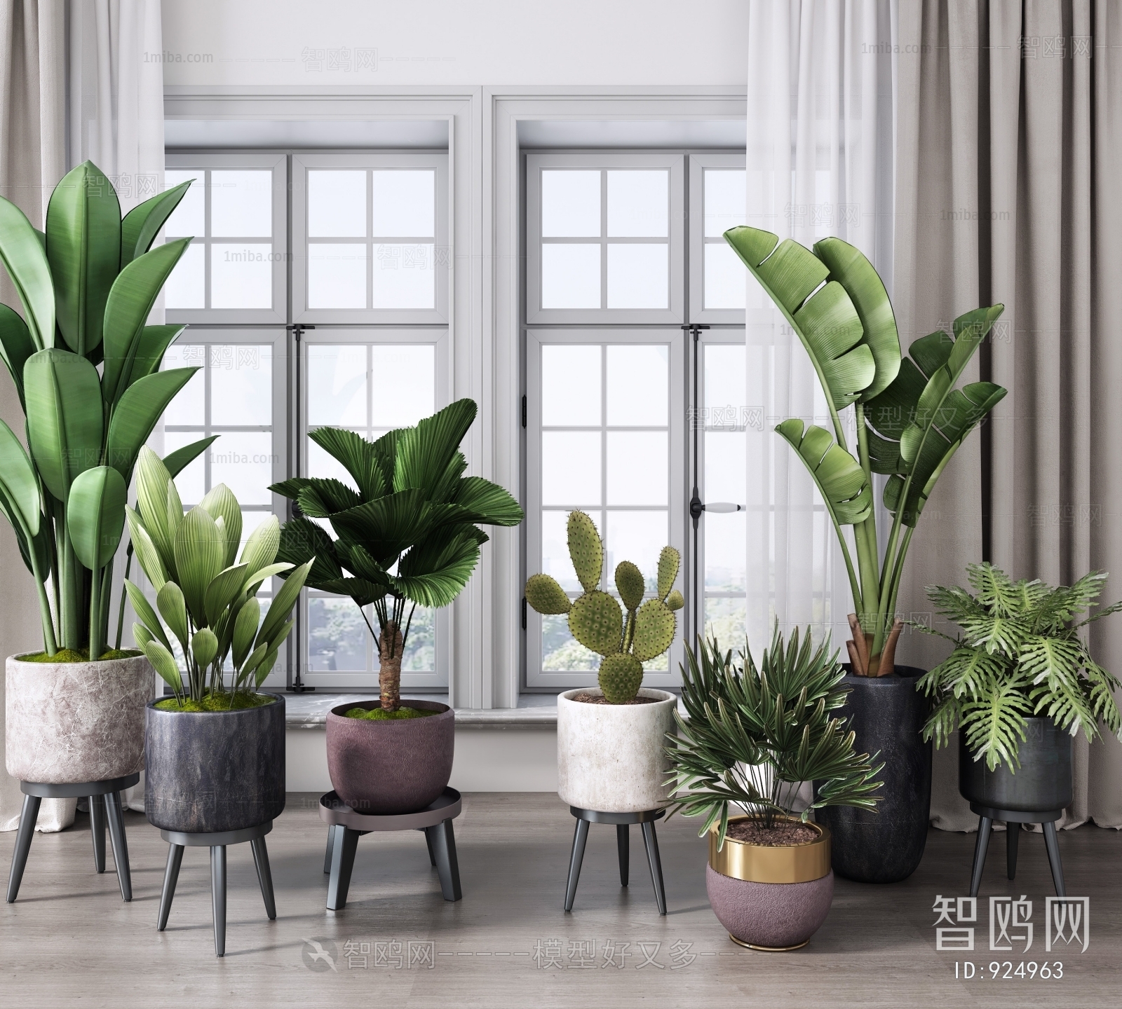 Modern Potted Green Plant