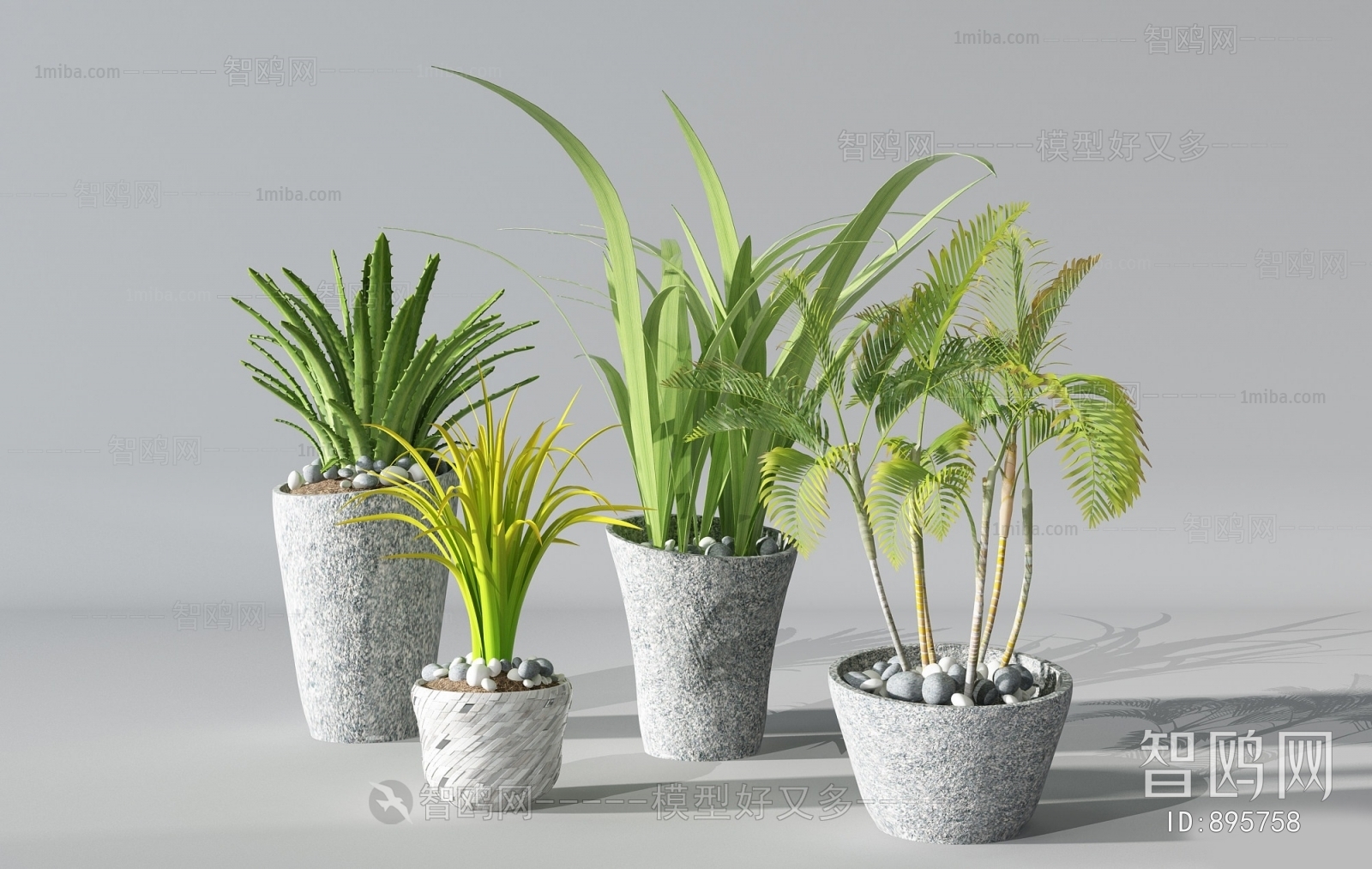 Modern Potted Green Plant