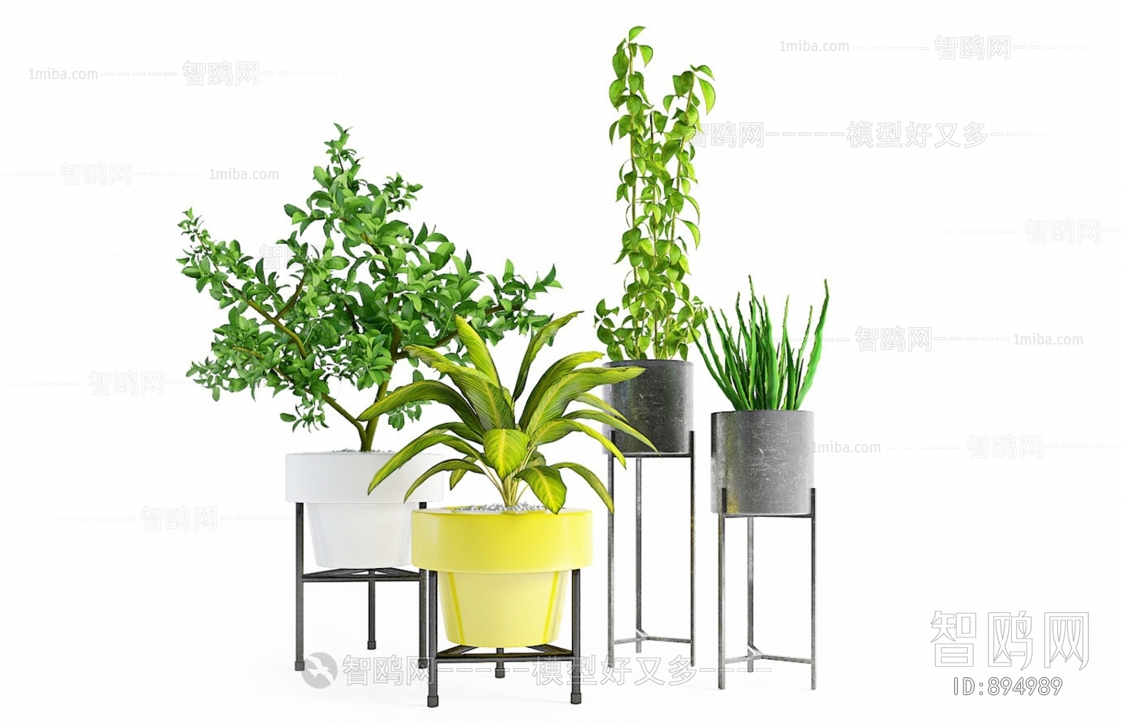 Modern Potted Green Plant