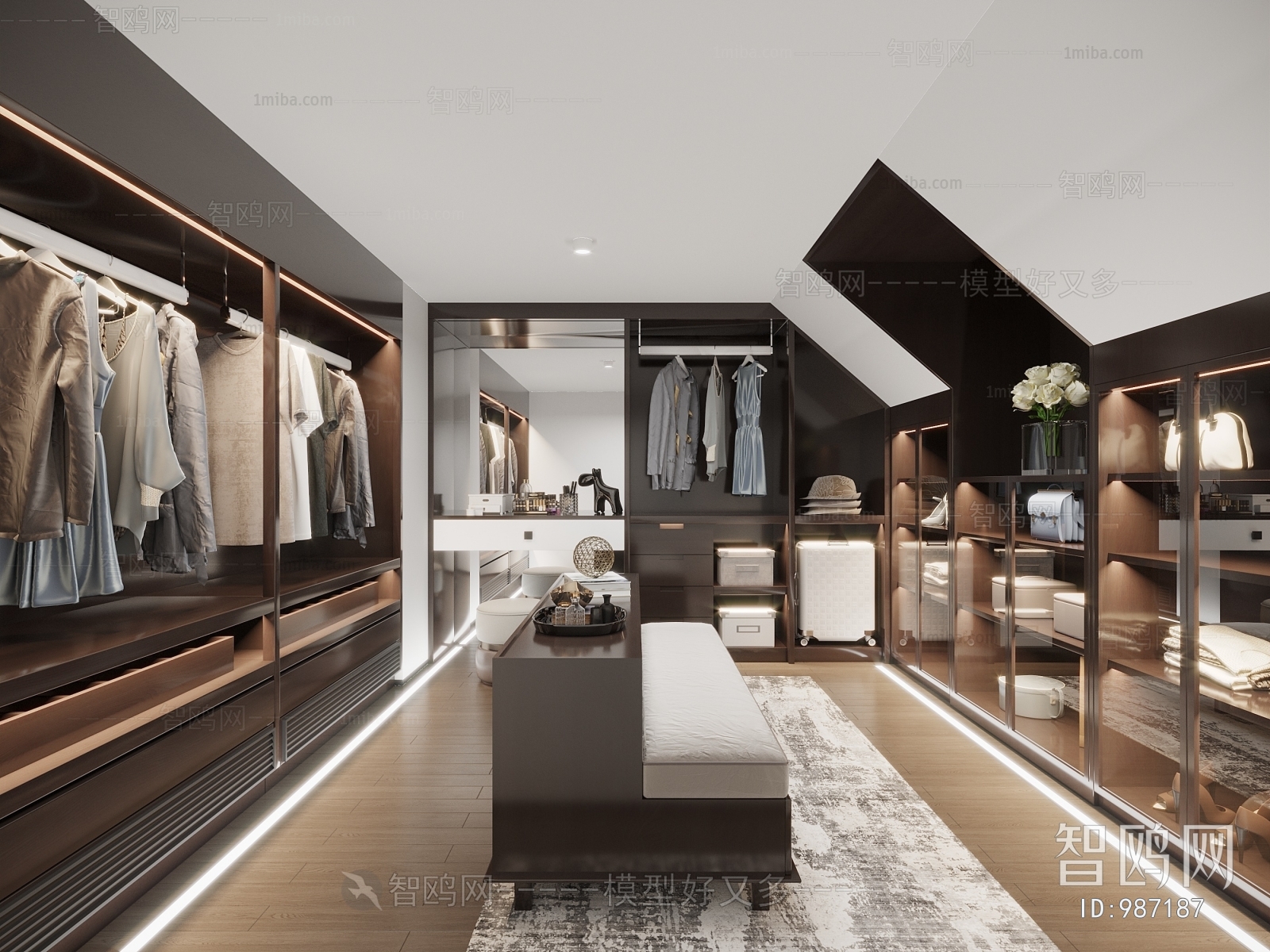 Modern Clothes Storage Area