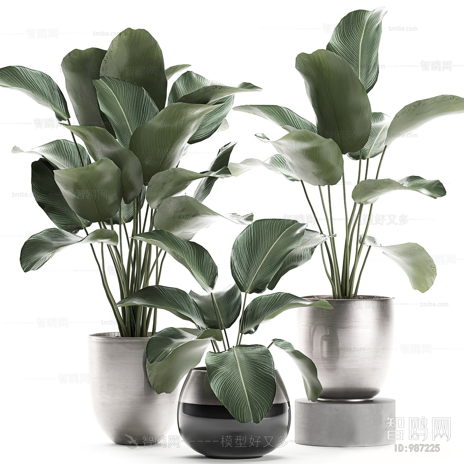 Modern Potted Green Plant