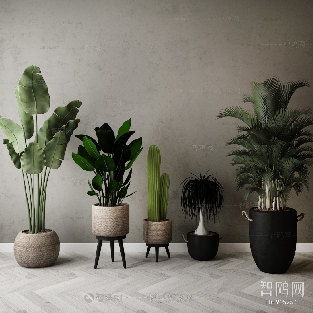 Modern Potted Green Plant