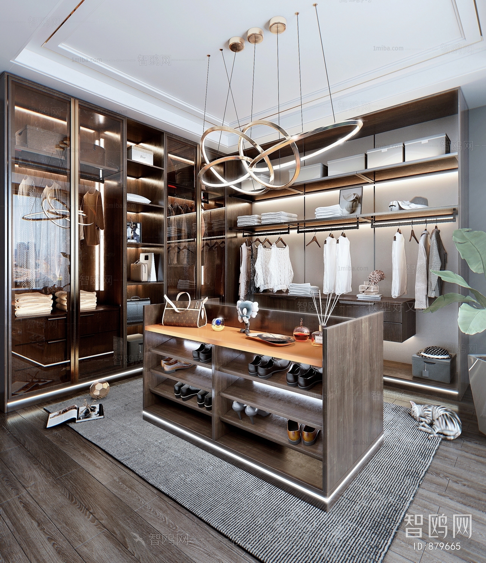 Modern Clothes Storage Area