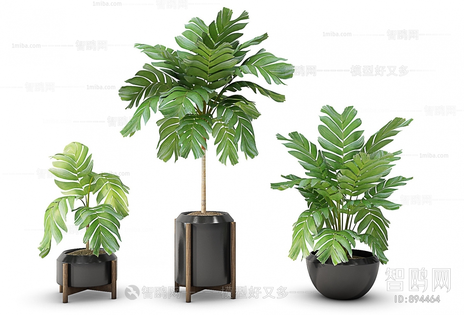 Modern Potted Green Plant