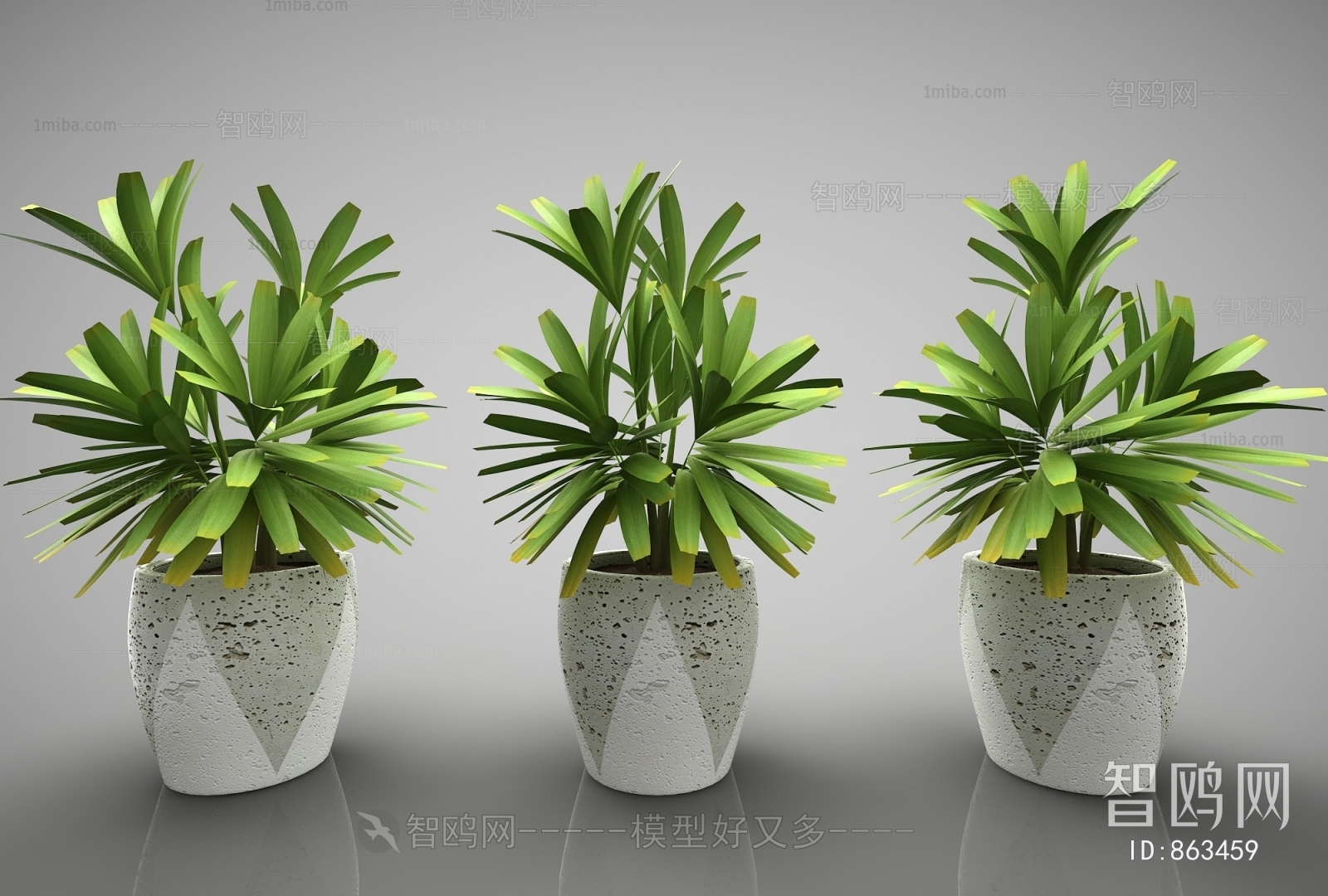 Modern Potted Green Plant