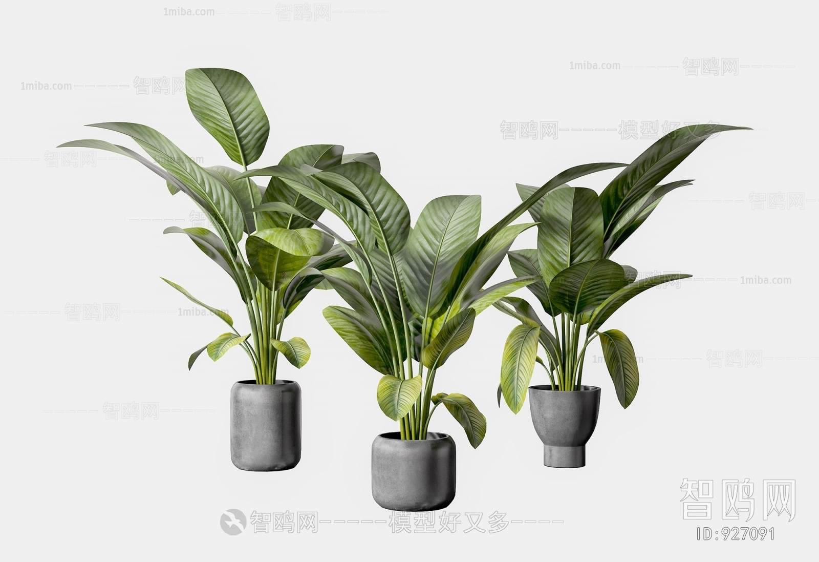 Modern Potted Green Plant