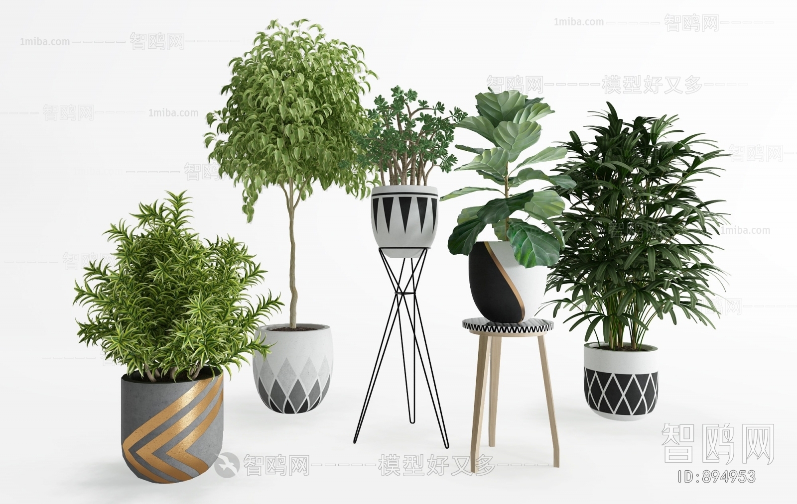 Modern Potted Green Plant