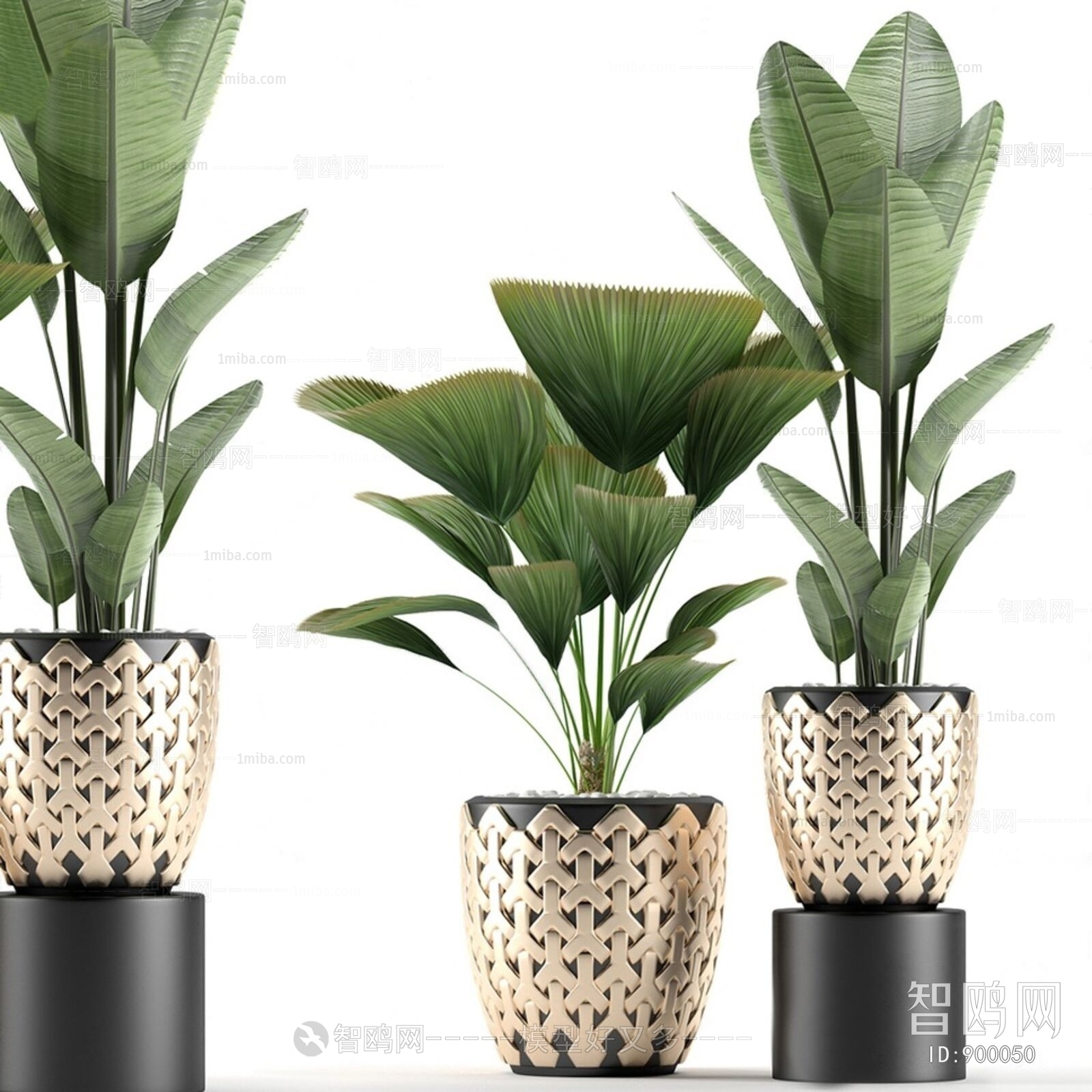 Modern Potted Green Plant