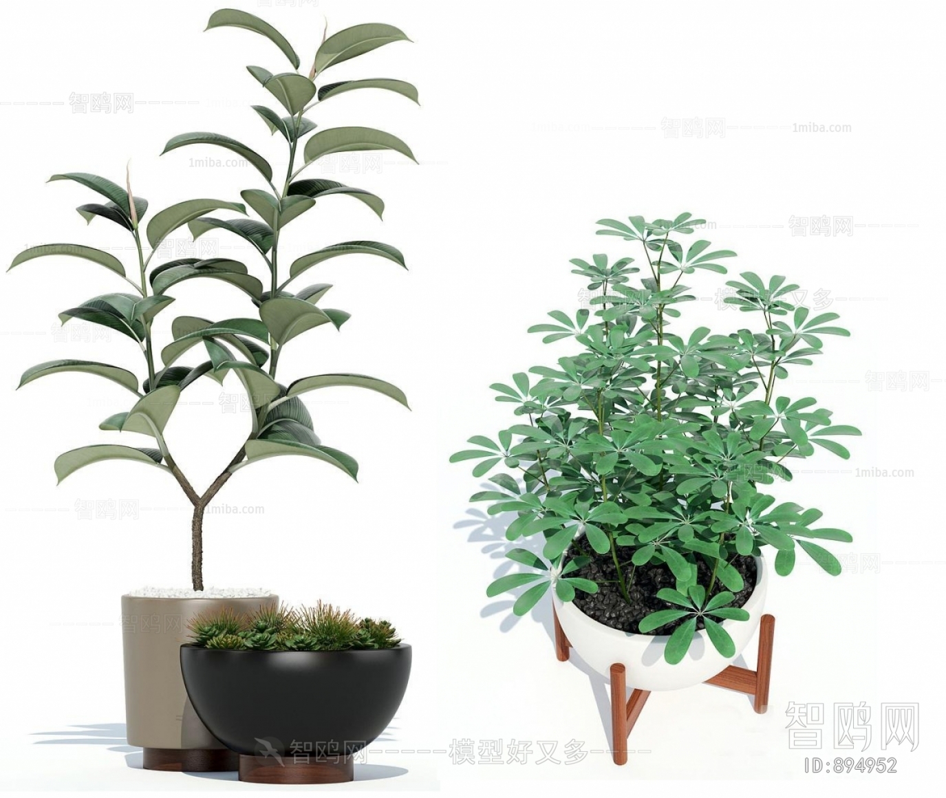 Modern Potted Green Plant