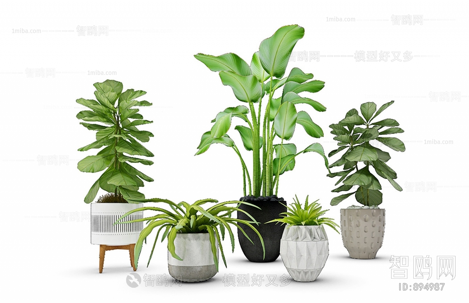 Modern Potted Green Plant