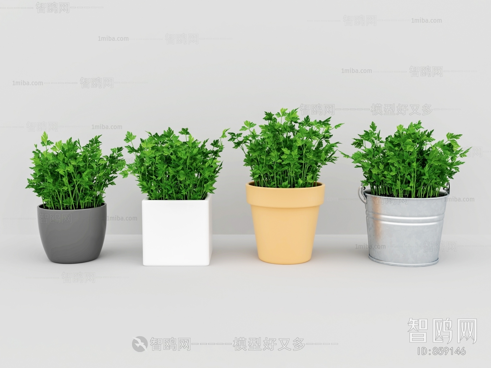 Modern Potted Green Plant