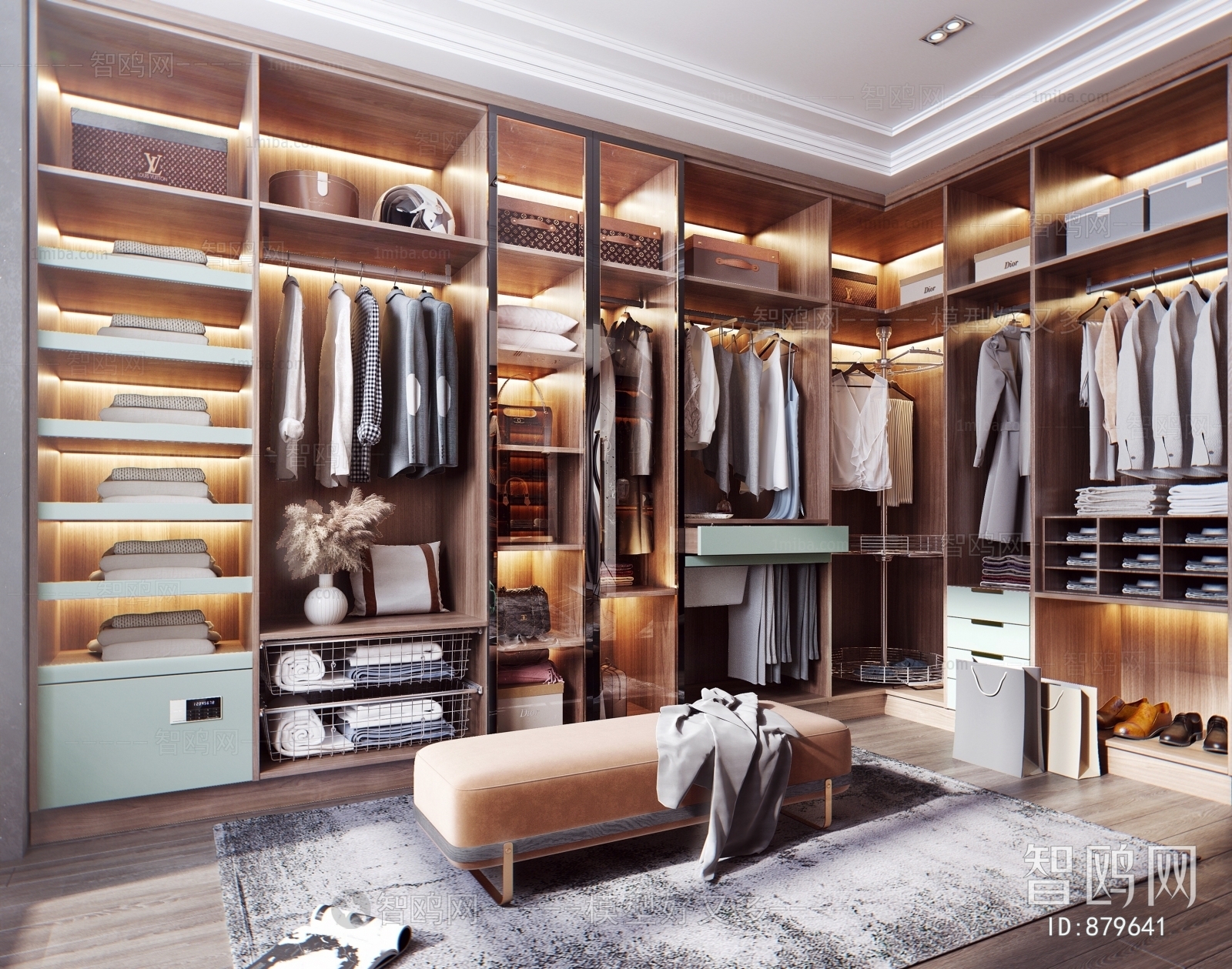 Modern Clothes Storage Area