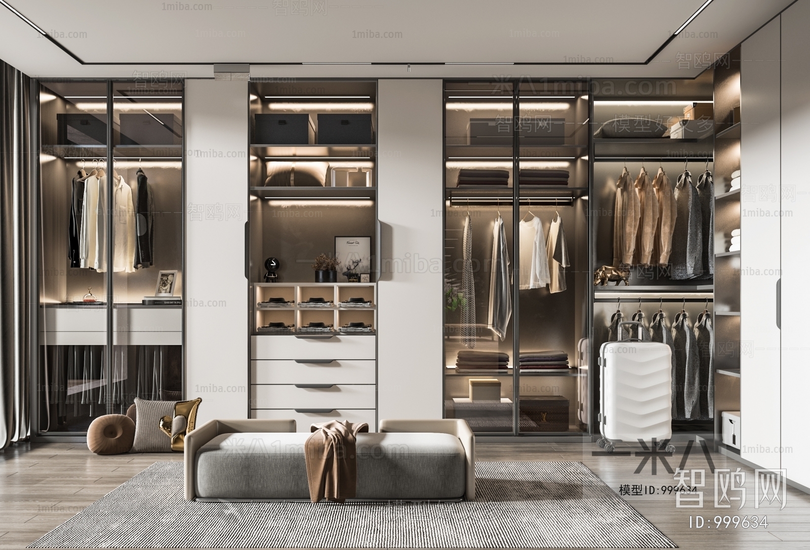 Modern Clothes Storage Area