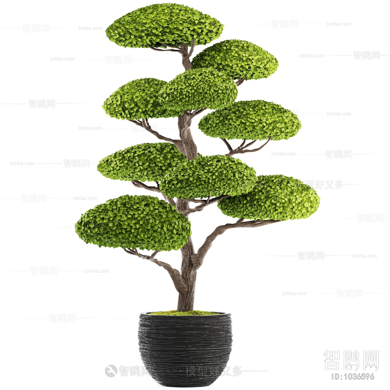 Chinese Style Potted Green Plant