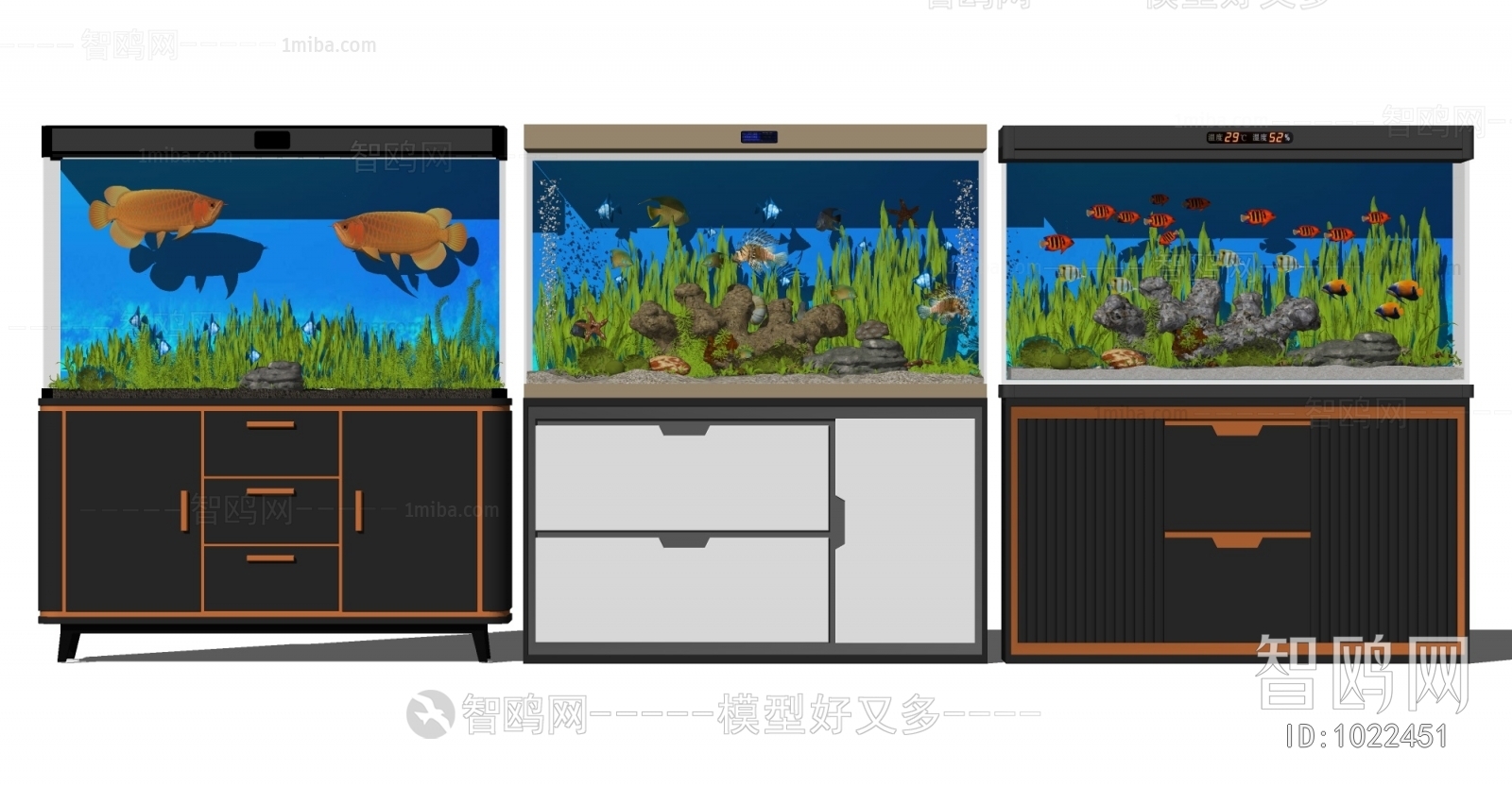 Modern Fish Tank