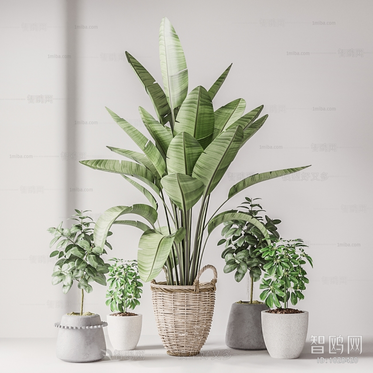 Modern Potted Green Plant