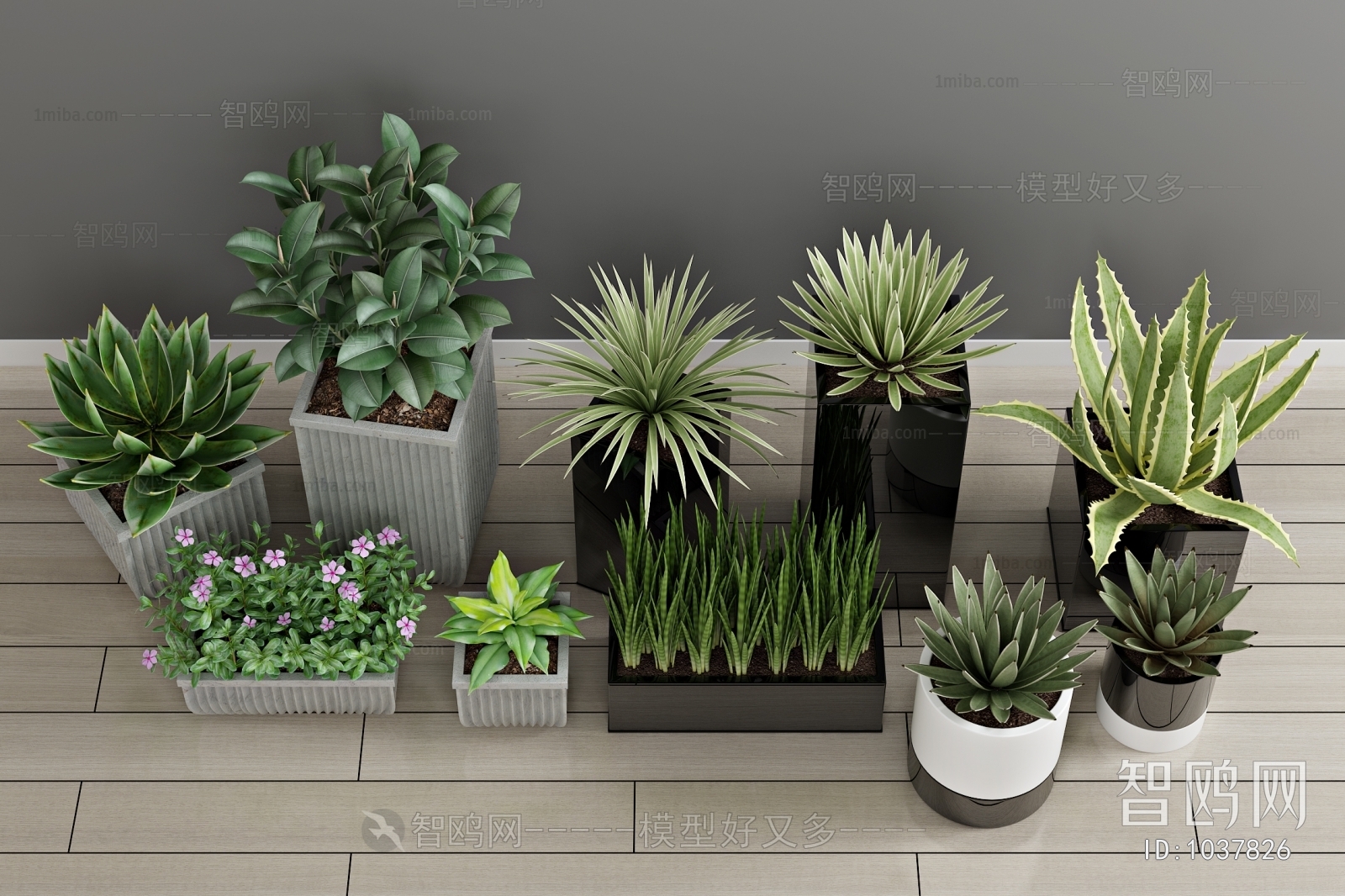 Modern Potted Green Plant